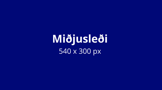 Miðjusleði  –  1300x730 – hólf